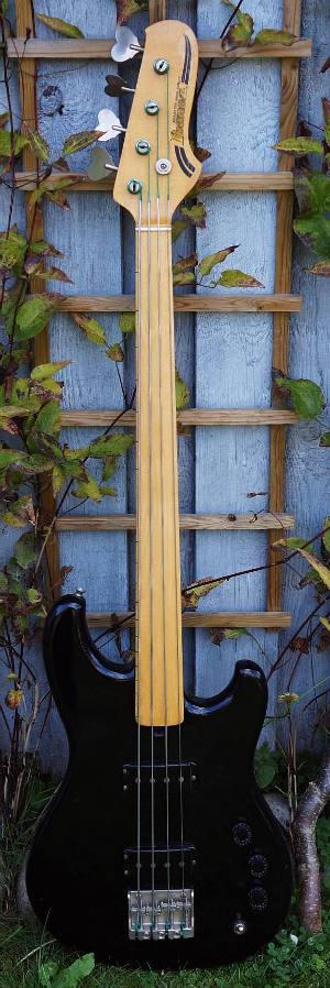 Ibanez Fretless Roadster